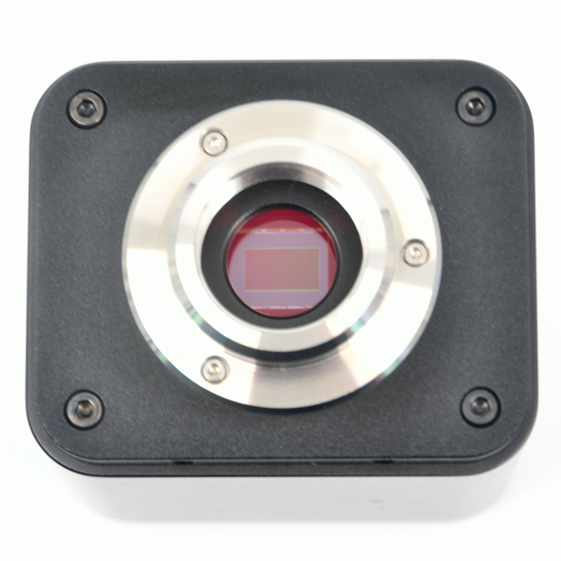 Cámara microscópica XCAMLITE4K - 4K Microscope Camera Sony Sensor reseña y precio